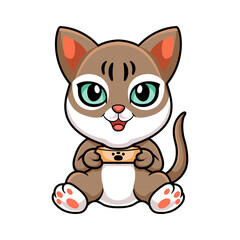 Cute singapura cat cartoon holding food bowl