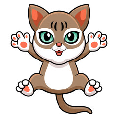 Fototapeta na wymiar Cute singapura cat cartoon posing