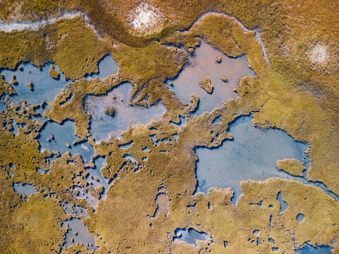 Drone photo looking straight down at coastal patterns