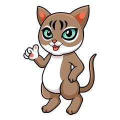 Cute singapura cat cartoon giving thumbs up
