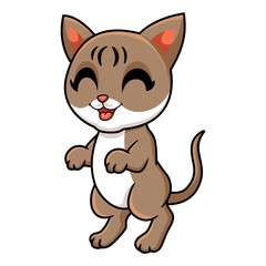 Cute singapura cat cartoon standing