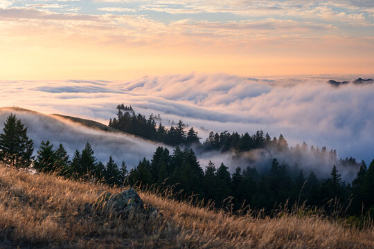 Beautiful flowing fog with clouds above, on Mt. Tamalpais, California. 