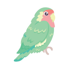 Isolated cute parakeet bird icon Vector