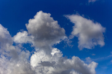 Fototapeta premium blue sky with clouds