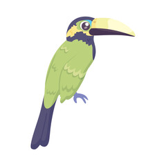 Isolated cute toucan bird icon Vector