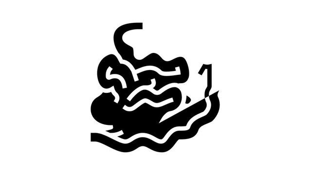 intestine human organ glyph icon animation