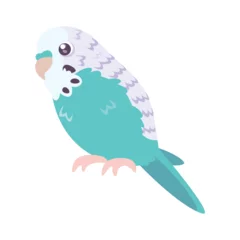 Fotobehang Isolated cute parakeet bird icon Vector © illustratiostock