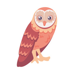 Isolated cute owl bird icon Vector