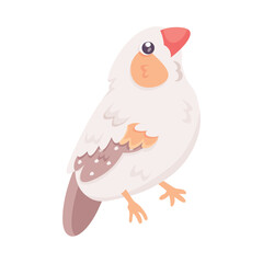Isolated cute bird icon Animal Vector