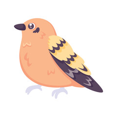 Isolated cute bird icon Animal Vector
