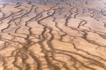 Colored microorganisms. Grand Prismatic Spring in Yellowstone National Park.