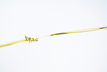 Color liquid splash in the studio