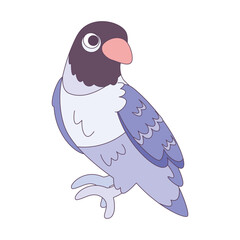 Isolated cute parakeet bird icon Vector