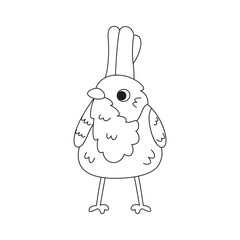 Isolated cute bird icon Animal Vector