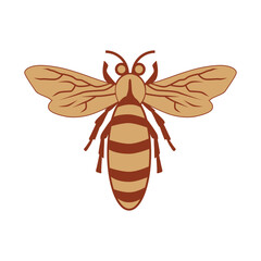 Bee Illustration