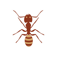 Ant Illustration
