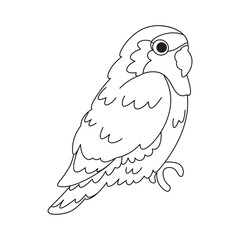 Isolated cute parakeet bird icon Vector