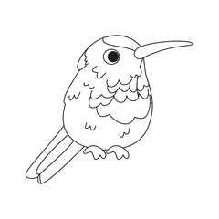 Isolated cute hummingbird bird icon Vector