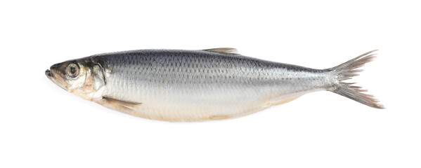Whole delicious salted herring isolated on white, top view