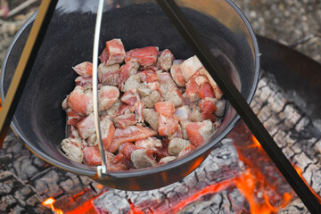 Meat pieces in a cauldron.food on the fire. Cooking meat in a cauldron.Cooking outdoors.Camping cooking.Wood fire and cauldron with food.