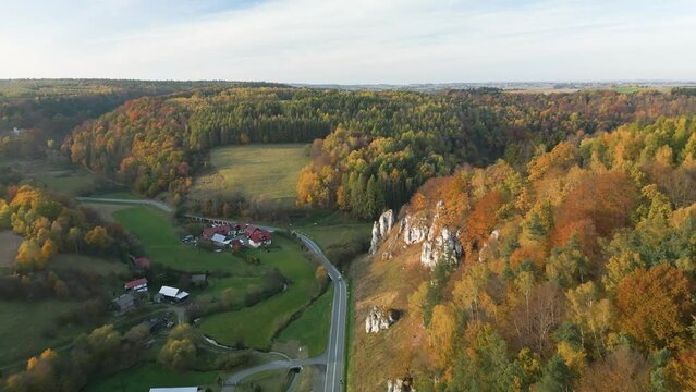 Aerial view of the road and houses in contryside. Wide shot of autumn forest.