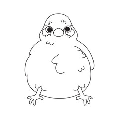 Isolated cute bird icon Animal Vector