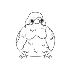 Isolated cute bird icon Animal Vector