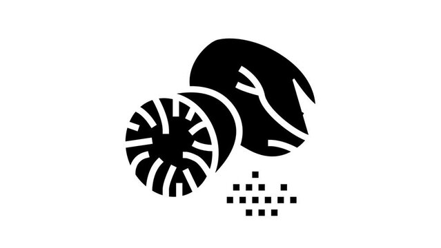 nutmeg nut line icon animation