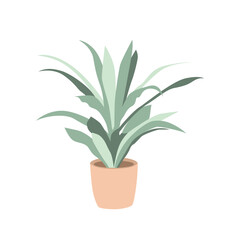 Pot Plant Illustration