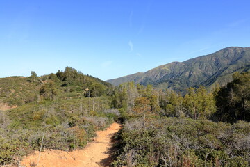 Views of Mount Manuel and the Santa Lucia mountains from Buzzard's Roost in Big Sur