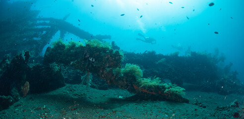 Fototapeta na wymiar Scuba diver swimming over the shipwreck