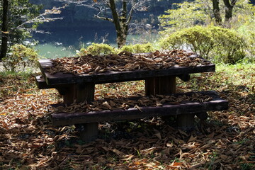落ち葉が降り積もった公園のテーブルとベンチ