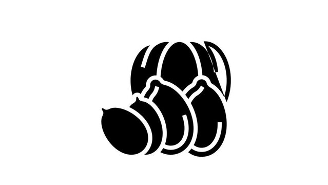 pumpkin nut line icon animation