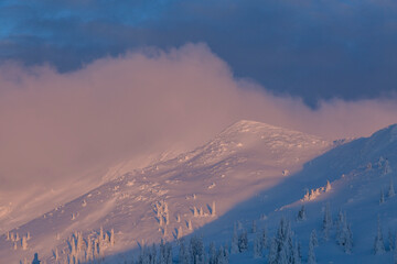 Winter mountain landscape at sunrise. Beautiful mountains and snowy fir trees in clear morning with sunlight