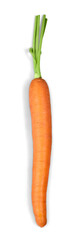 Orange Carrot