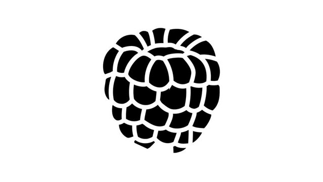 red raspberry ripe fruit line icon animation