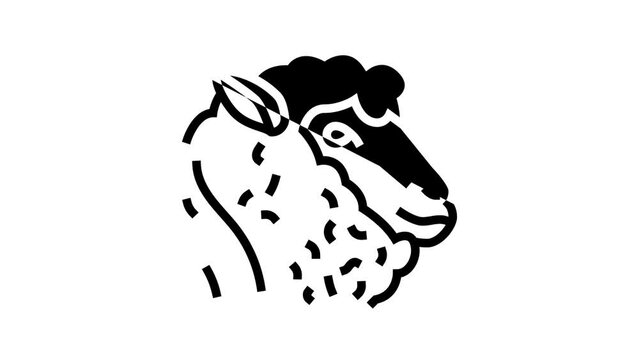 sheep animal zoo line icon animation