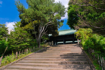 Fototapeta na wymiar 東京都文京区 湯島聖堂 杏壇門と参道の階段