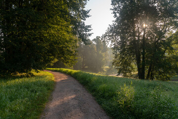 View of the alley in Pavlovsky Park on a sunny foggy summer morning, Pavlovsk, St. Petersburg, Russia