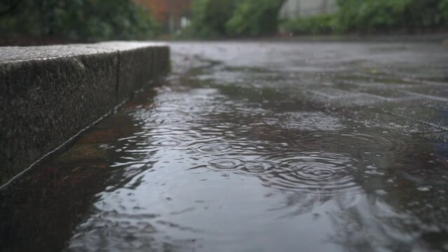 Puddle on a rainy day, low angle shot.
