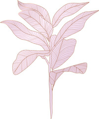 tropical leaves © TWINS DESIGN STUDIO