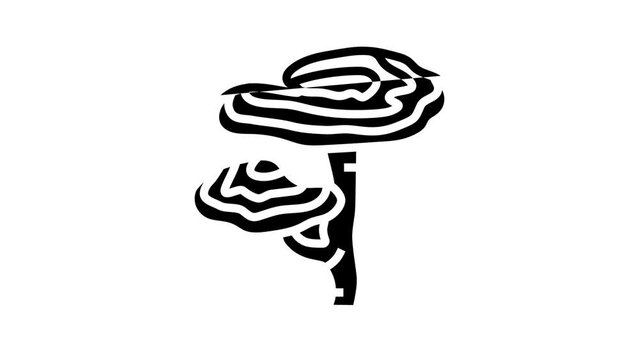 reishi mushroom line icon animation