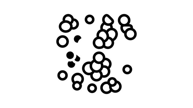 lentil nut line icon animation