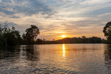 Fototapeta na wymiar Sunset in Weston wetland park, Sabah, Malaysia