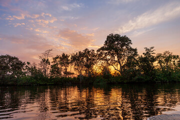 Sunset in Weston wetland park, Sabah, Malaysia