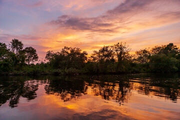 Sunset in Weston wetland park, Sabah, Malaysia