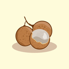Fresh longan fruit hand drawn cartoon illustration