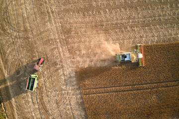 Fototapeta na wymiar Aerial view of combine harvester and cargo trailer working during harvesting season on large ripe wheat field. Agriculture and transportation of raw grain concept