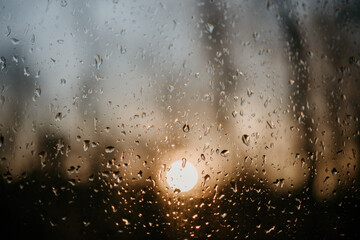 rain drops on window