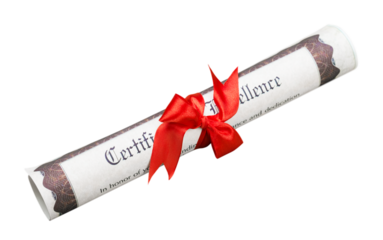 Certificate of Excellence